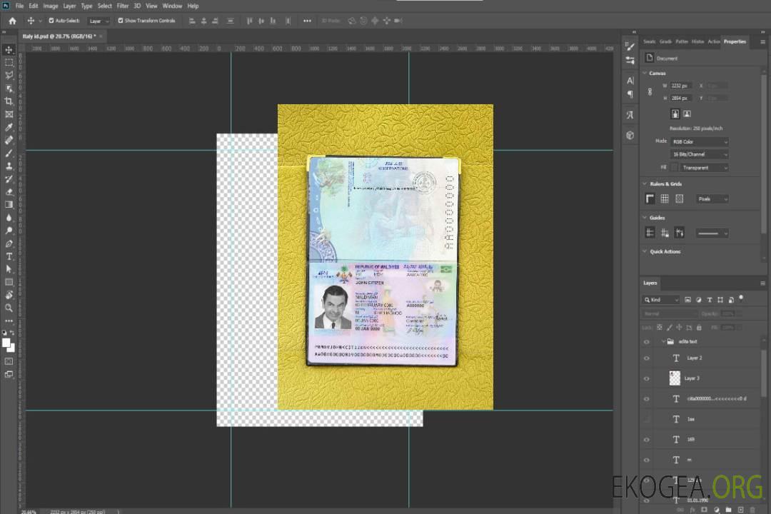 Photo d'identité des Maldives template Photo d'identité des Maldives template